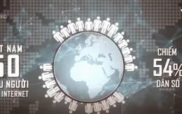 Việt Nam có số lượng người sử dụng Internet hàng đầu trong khu vực