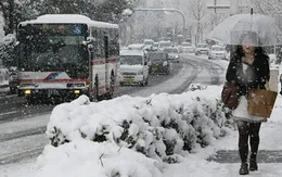 Tuyết rơi dày đặc ảnh hưởng tới người dân Tokyo, Nhật Bản