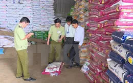 Tiêu hủy gần 200 tấn phân bón quá hạn sử dụng