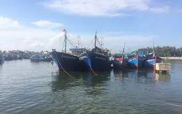Bình Định: Ngư dân chưa đạt được thỏa thuận đền bù "tàu cá 67"