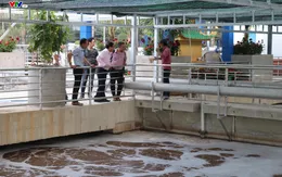Cận cảnh nhà máy xử lý nước thải công nghệ Việt Nam đầu tiên trong khu công nghiệp