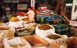Chợ dược liệu bên kia biên giới: Giá rẻ hơn rau, số lượng không giới hạn