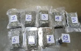 Bắt giữ 2,3kg ma túy tại Tân Sơn Nhất