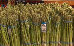 Chế độ ăn đặc biệt cứu 11,6 triệu người mỗi năm