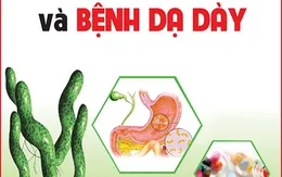 Vi khuẩn HP: Mối lo nguy hiểm cho dạ dày