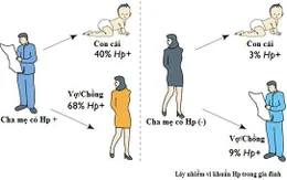 Chuyên gia cảnh báo những thói quen khi ăn uống làm lây lan vi khuẩn HP