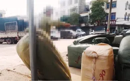 Tăng cường kiểm tra việc lưu hành, sử dụng thuốc cổ truyền