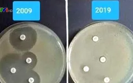 "Thử thách 10 năm" thể hiện vi khuẩn kháng thuốc tăng
