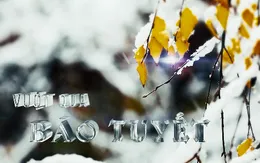 Vượt qua bão tuyết  - Câu chuyện về người Việt ở Đông Âu