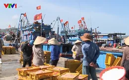 Ngư dân Quảng Ngãi trúng đậm mùa ruốc dịp cận Tết