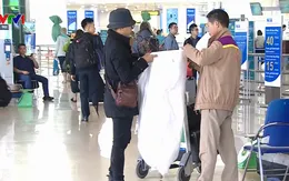 Đào, mai nhỏ cũng bị thu phí vận chuyển hàng không