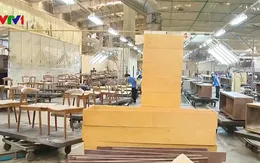 Tăng cường quản lý gỗ và lâm sản hợp pháp