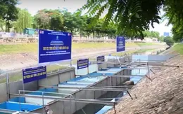 Xem xét nhân rộng mô hình xử lý nước sông Tô Lịch