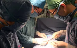 Tắc tá tràng bẩm sinh, bé trai 11 ngày tuổi bị đứt rời tá tràng thành hai đoạn