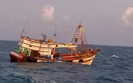 Bà Rịa - Vũng Tàu cứu nạn thành công tàu cá BV 98695 TS