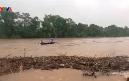 Bất chấp hiểm nguy, người dân vớt củi giữa dòng nước lũ