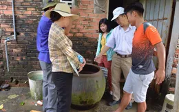 Bà Rịa - Vũng Tàu: Hơn 11.600 ca mắc sốt xuất huyết, 5 ca tử vong