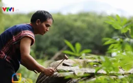 Gặp gỡ người đam mê đàn đá ở Tây Nguyên