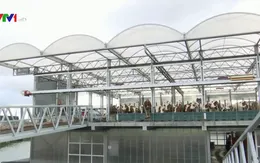 Trang trại bò nổi - Tương lai của ngành nông nghiệp