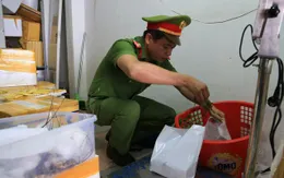 Đà Nẵng phát hiện cơ sở bơm tạp chất vào tôm hùm