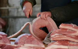 Mỹ tồn thịt ba chỉ lợn lớn nhất trong 48 năm qua