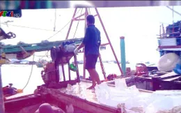 Đoàn thanh tra của EC làm việc tại tỉnh Kiên Giang