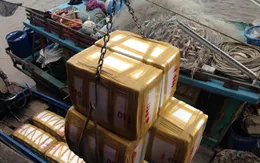 Cà Mau: Ngư dân Ngọc Hiển được mùa cá đuối