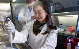 Nghiên cứu liệu pháp gen chữa thiếu máu, HIV