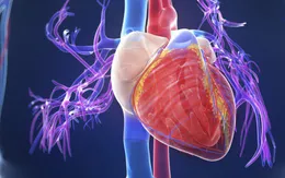 Cứu bé gái thoát cửa tử vì viêm cơ tim cấp