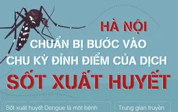 [Infographic] - Những lưu ý khi dịch sốt xuất huyết sắp vào chu kỳ đỉnh điểm tại Hà Nội