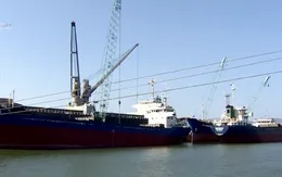 Phương án sử dụng bùn nạo vét cảng Quy Nhơn