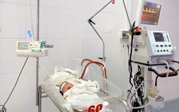 Cứu sống sản phụ viêm màng não nặng, suy thai cấp chuyển dạ sinh non