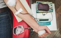 Nhật Bản phát triển máu nhân tạo có thể truyền cho mọi nhóm máu