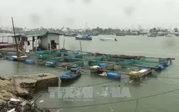 Khánh Hòa triển khai quyết liệt công tác ứng phó với bão số 5