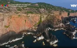 Đảo Cù Lao Xanh - Vẻ đẹp hoang sơ của Bình Định