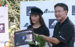 Chung tay bảo tồn loài gấu Việt Nam