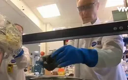 Anh khám nghiệm khối rác khổng lồ dài 64m