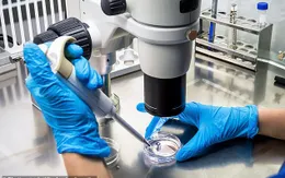 Phát triển siêu virus đậu mùa có thể tiêu diệt mọi loại ung thư?