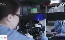 Phát minh mới về phương pháp điều trị HIV/AIDS