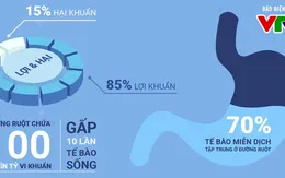 Trò chuyện cùng Dr.ANH: Hệ vi khuẩn đường ruột