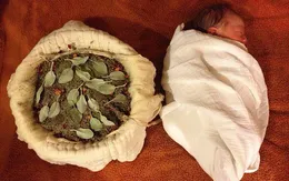 Bộ Y tế khẳng định việc sinh con thuận tự nhiên là phản khoa học