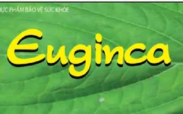 Thu hồi thực phẩm bảo vệ sức khỏe Euginca và Eurica Forte