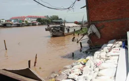 Sụt lún đất Đồng bằng sông Cửu Long đang diễn ra nhanh hơn