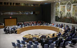 HĐBA LHQ tái khẳng định cấm vũ khí hóa học