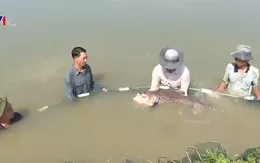 Một ngày ghé thăm Trung tâm Giống thủy sản nước ngọt Nam Bộ