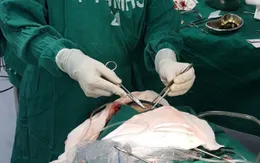 Phẫu thuật cấp cứu thành công 3 bệnh nhân bị đạn bắn