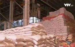 Hong Kong (Trung Quốc) cần gì ở gạo Việt Nam?