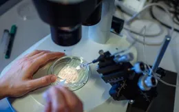 Thử nghiệm công nghệ chỉnh sửa gene trong điều trị ung thư