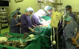 Việt Nam thiếu trầm trọng nguồn tạng