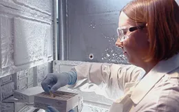 Các nhà khoa học đã tìm ra chủng HIV mới như thế nào?